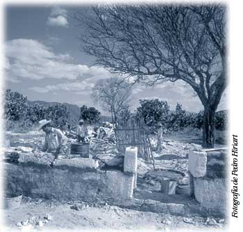 Fotografía de Pedro Hiriart