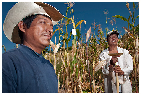 agricultor