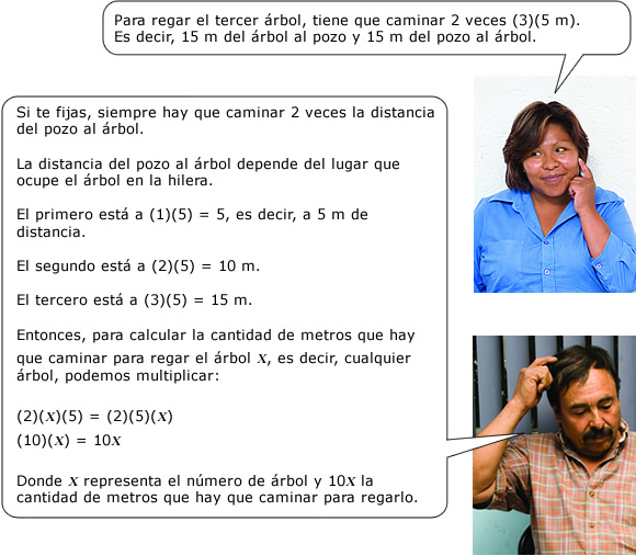 act_8_1_textos
