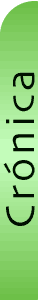 Cuadro de texto: Cr&oacute;nica