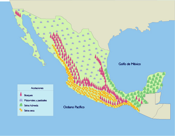 Mapa De Las Regiones Naturales De Mexico Mapa De Mexico Images