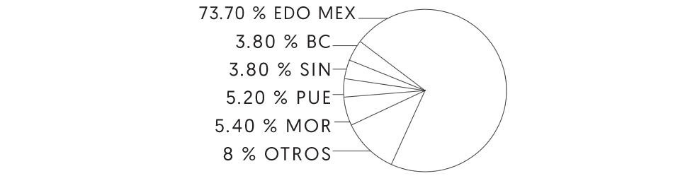 Imagen del gráfico que debes elaborar con ayuda de una persona normovisual