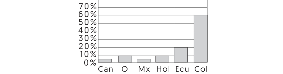 Imagen del gráfico que debes elaborar con ayuda de una persona normovisual