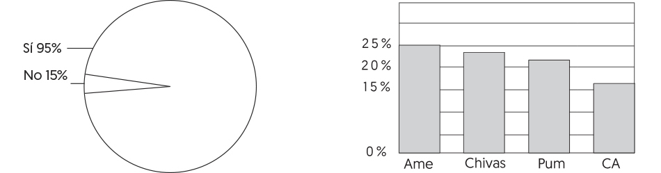 Imagen del gráfico que debes elaborar con ayuda de una persona normovisual