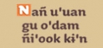 O'dam (Tepehuano del Sur) AIB 5