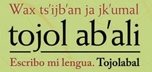Tojolabal AIB 7